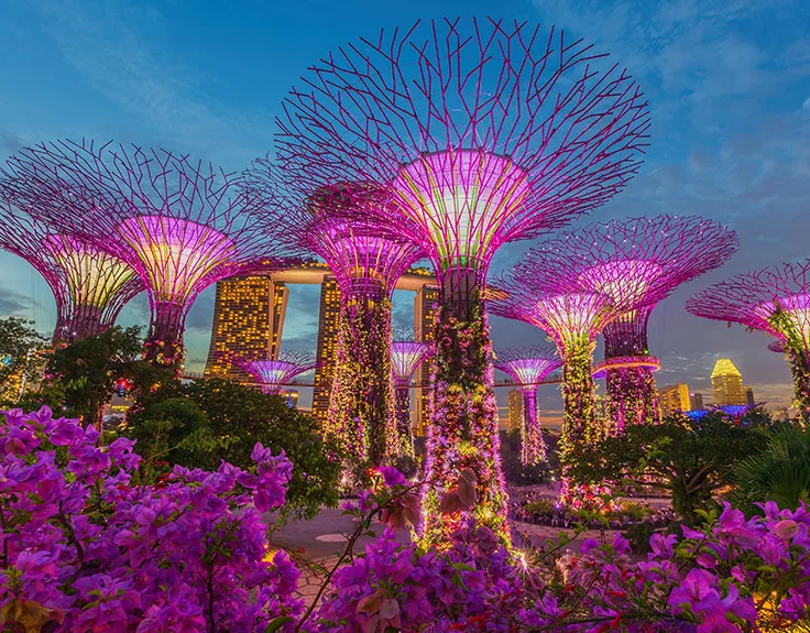 Singapore with Star Dream Cruise from Delhi | 5N/6D
